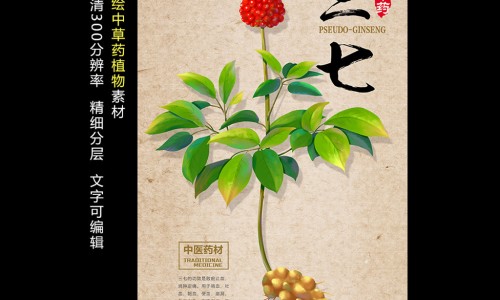 三七片一盒价格表-三七片的价格和功效专区_三七片说明书三七片用法用量专区_三七片规格价格说明书网