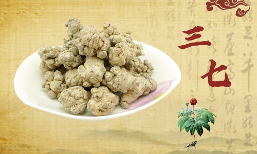 三七片100片价格表-三七片的价格和功效专区_三七片说明书三七片用法用量专区_三七片规格价格说明书网