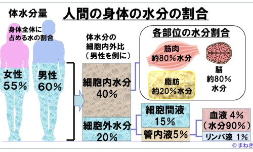 三七片100片价格表-三七片的价格和功效专区_三七片说明书三七片用法用量专区_三七片规格价格说明书网